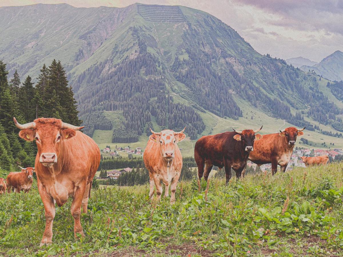 Chalet Schwarz Berwang Eksteriør bilde